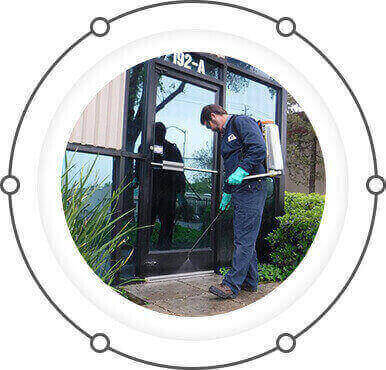 pest control Melbourne