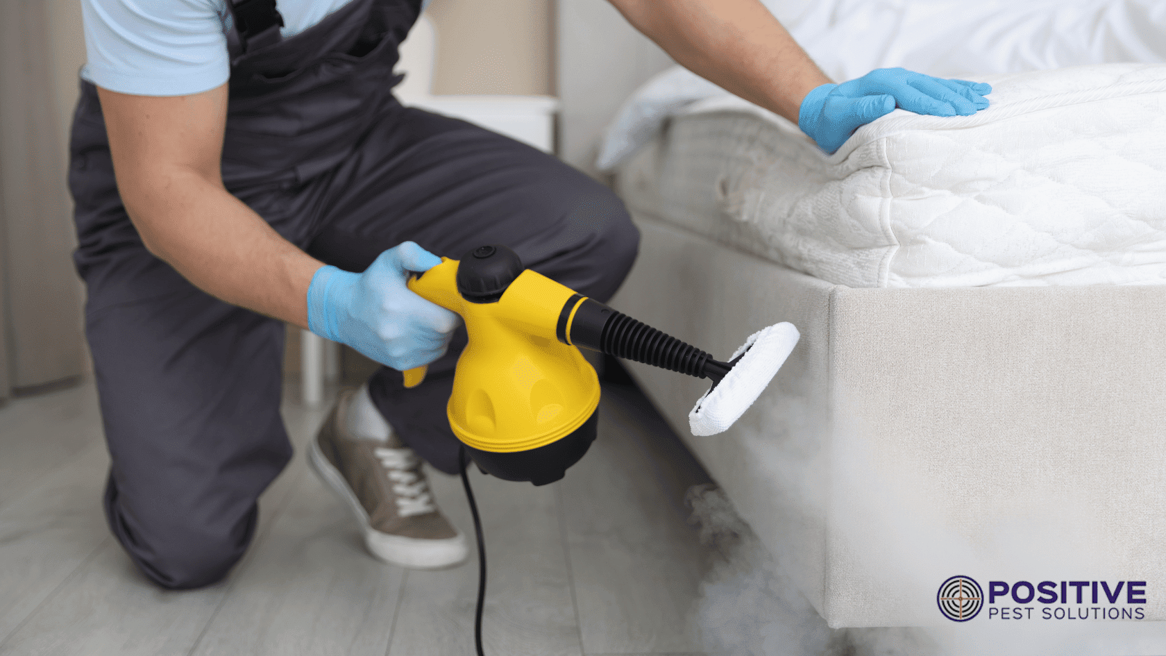Bed Bug Pest Control in Melbourne
