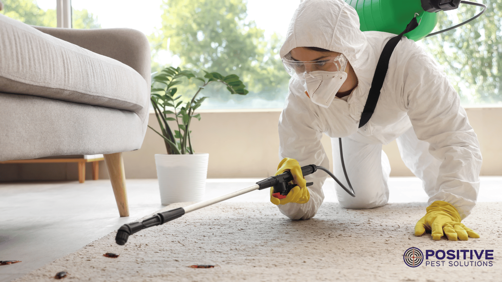 Residential Pest Control Services in Melbourne 