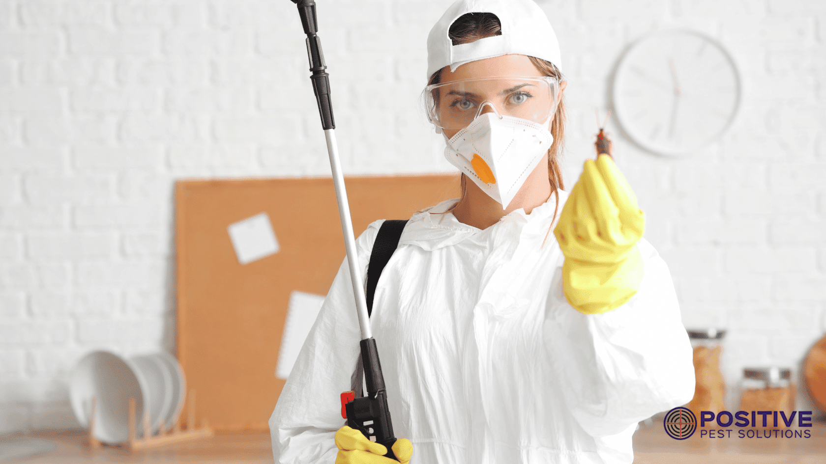 Top Pest Control Services in Melbourne
